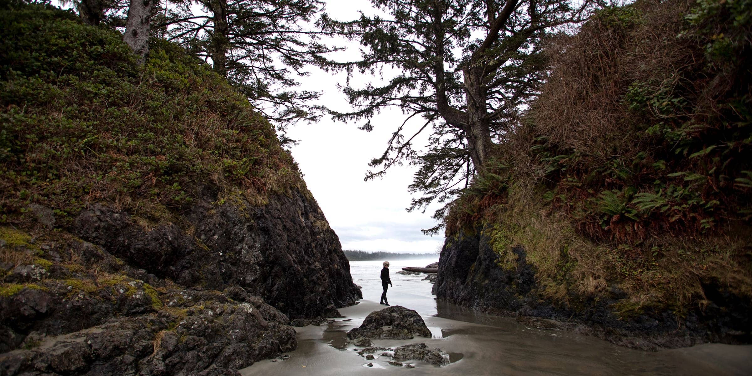 A lone figure on the sand between two tree-topped rock headlands, looking out to the ocean