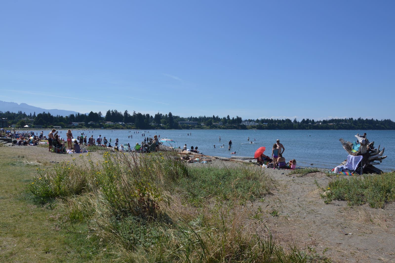 Families spread along a sandy beach on a sunny day, with the town’s trees behind the bay