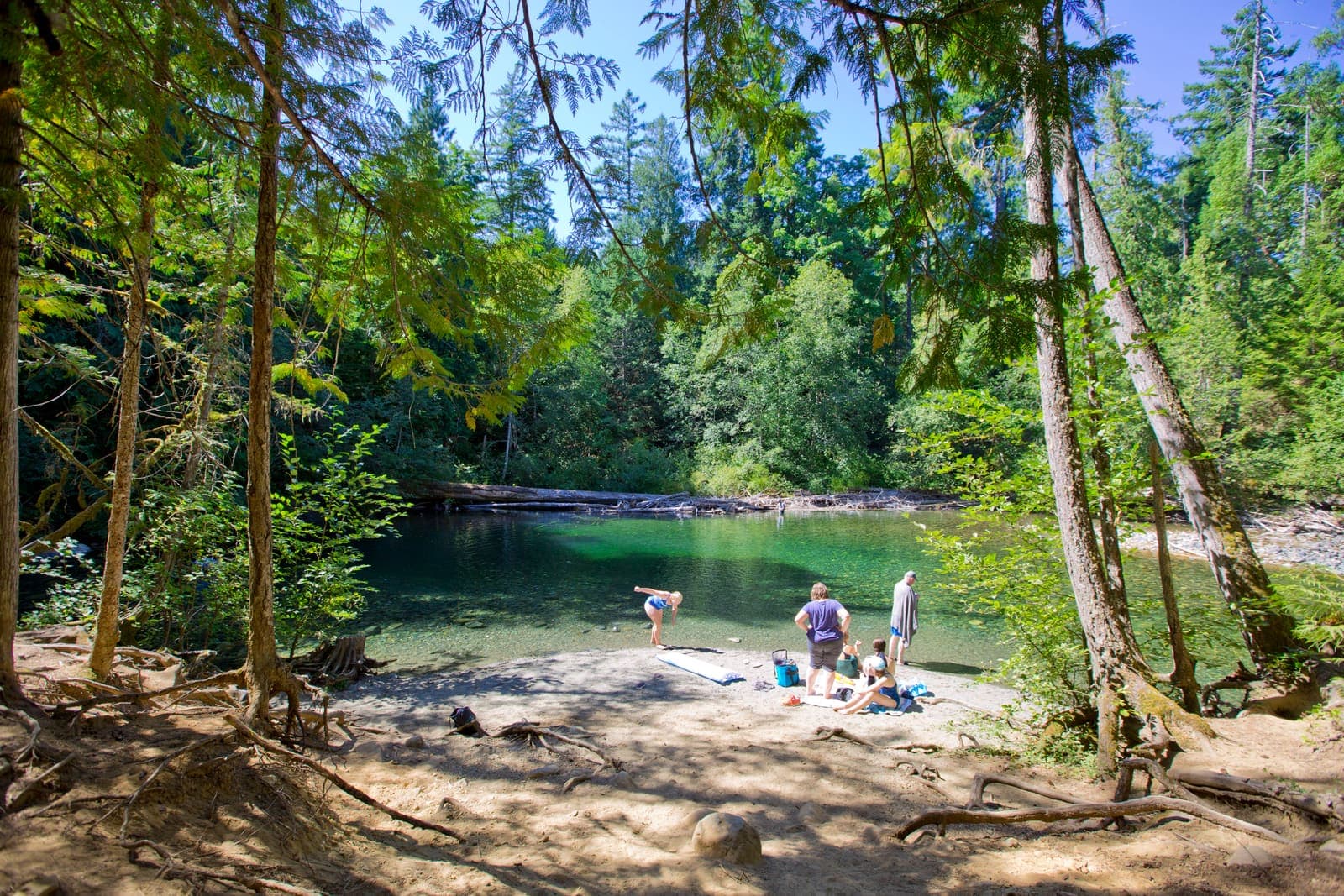 Families on a small sandy bank beside a clear green river pool under tall firs