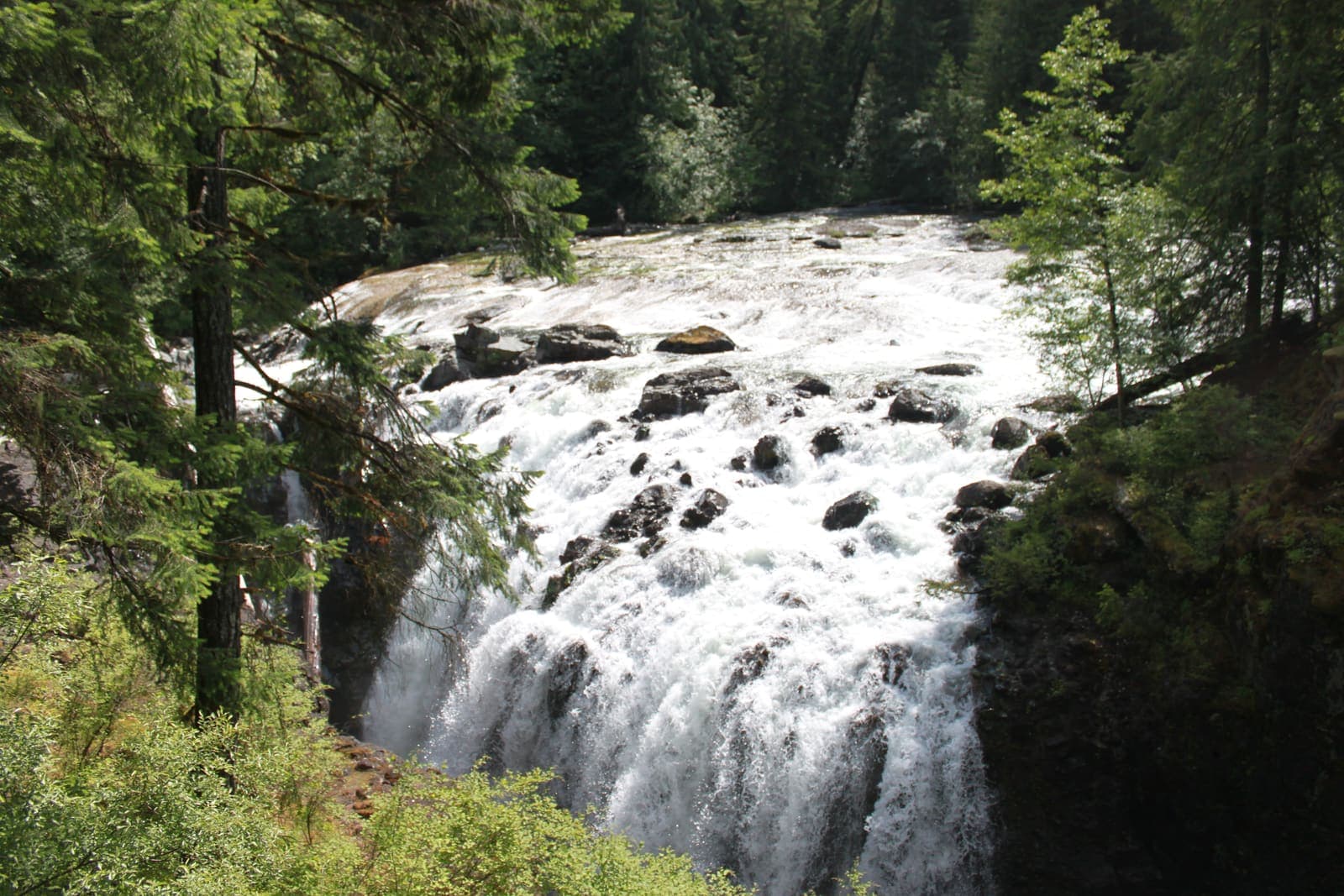 A wide waterfall pouring over dark rock between evergreen trees